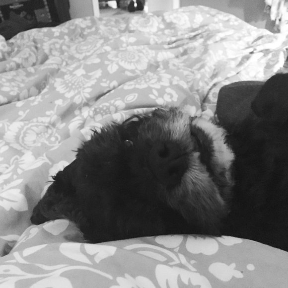 Meet your Posher, Trisha - Picture 1 of 1